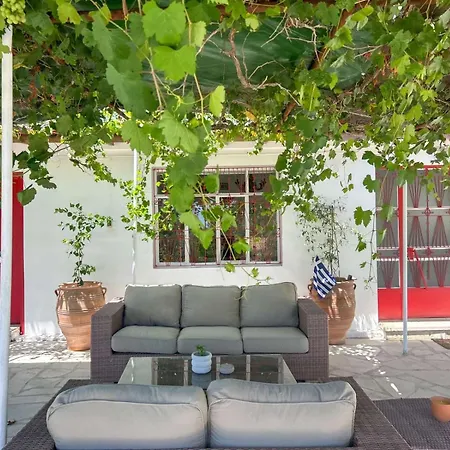 The Oliveorange Grove House!