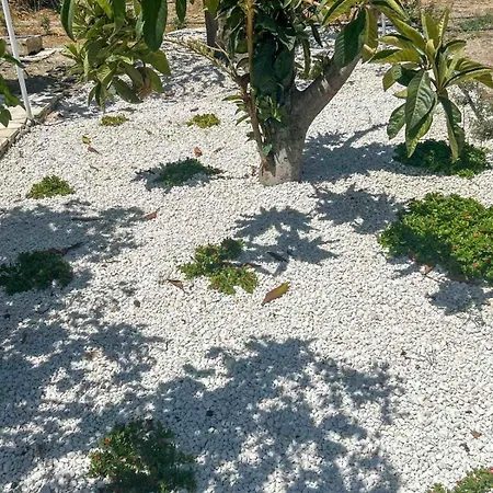 شقة The Oliveorange Grove House!