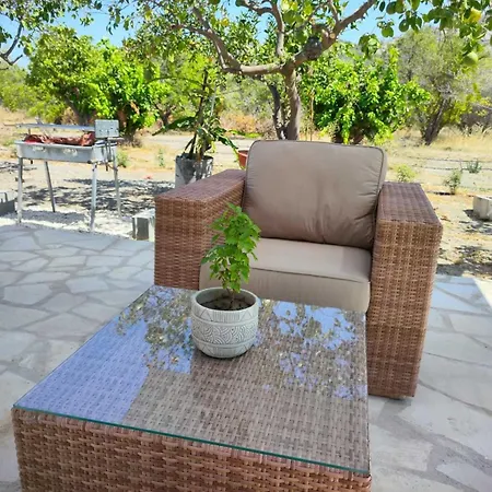 The Oliveorange Grove House!