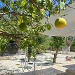 Apartamento The Oliveorange Grove House!