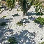 Apartamento The Oliveorange Grove House!