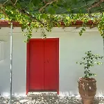 The Oliveorange Grove House!