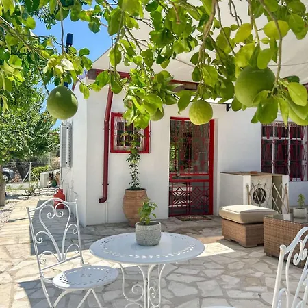 The Oliveorange Grove House! *