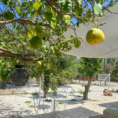 Apartment The Oliveorange Grove House!