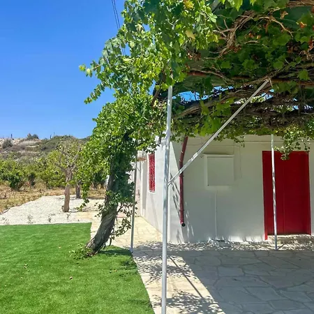 The Oliveorange Grove House! Apartment *