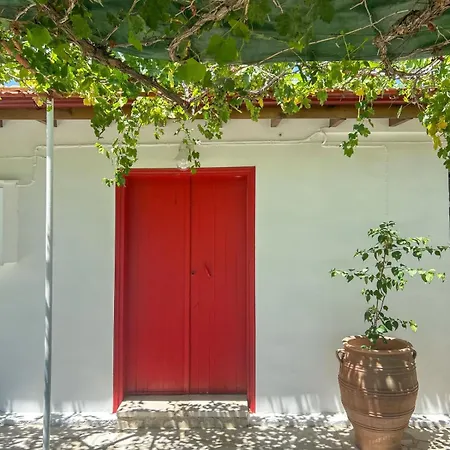 The Oliveorange Grove House!