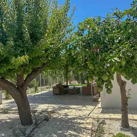 The Oliveorange Grove House!