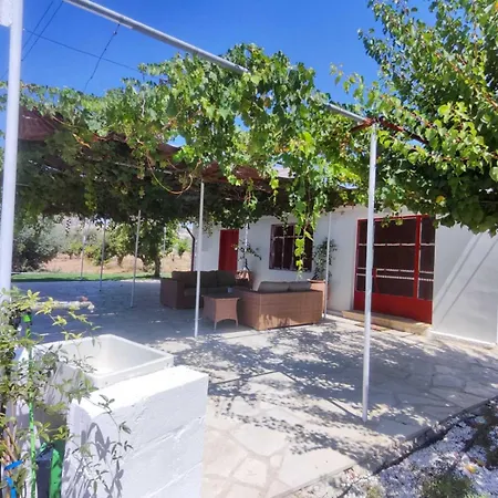 The Oliveorange Grove House! Kalavasos