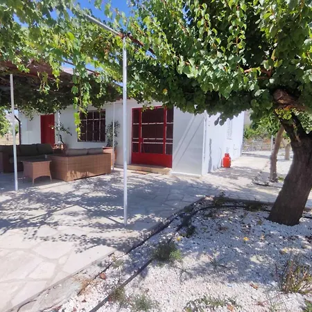 The Oliveorange Grove House!