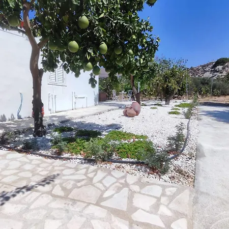 The Oliveorange Grove House! Apartment Kalavasos