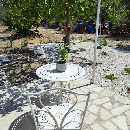 The Oliveorange Grove House! Kalavasos