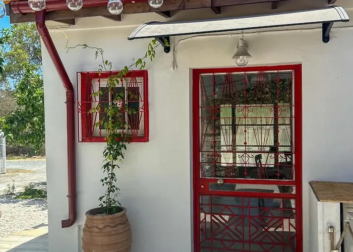 The Oliveorange Grove House!