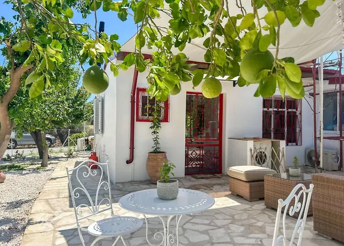 The Oliveorange Grove House! *