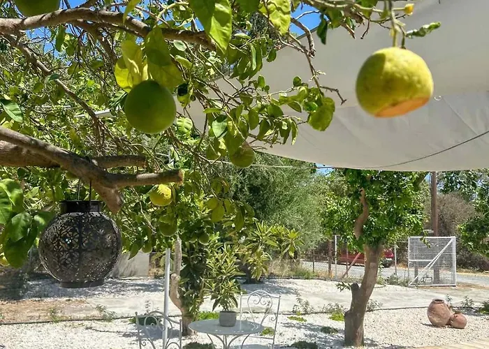 Apartmán The Oliveorange Grove House!