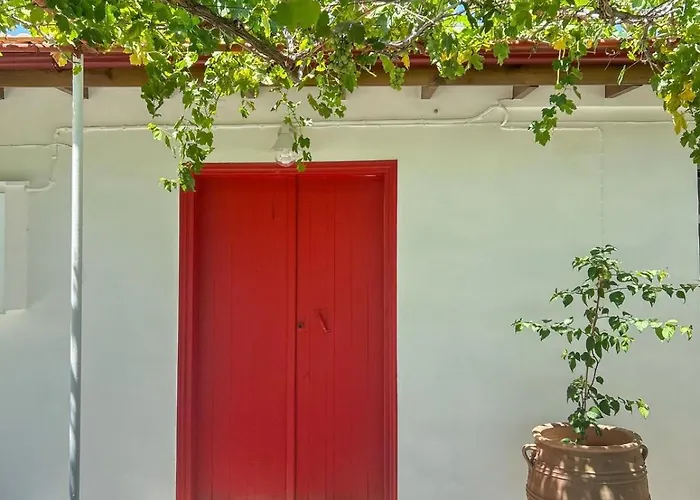 The Oliveorange Grove House!