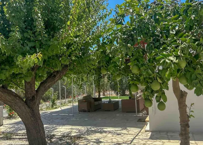 The Oliveorange Grove House!