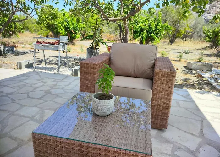 The Oliveorange Grove House!