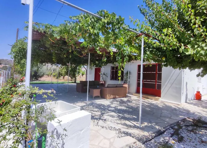 The Oliveorange Grove House! Kalavasos