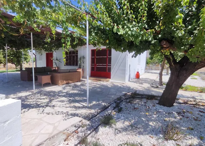 The Oliveorange Grove House!