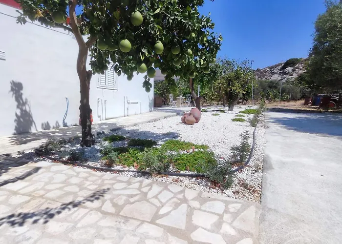 The Oliveorange Grove House! Apartmán Kalavasos