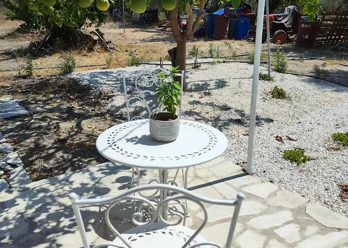 The Oliveorange Grove House! Kalavasos
