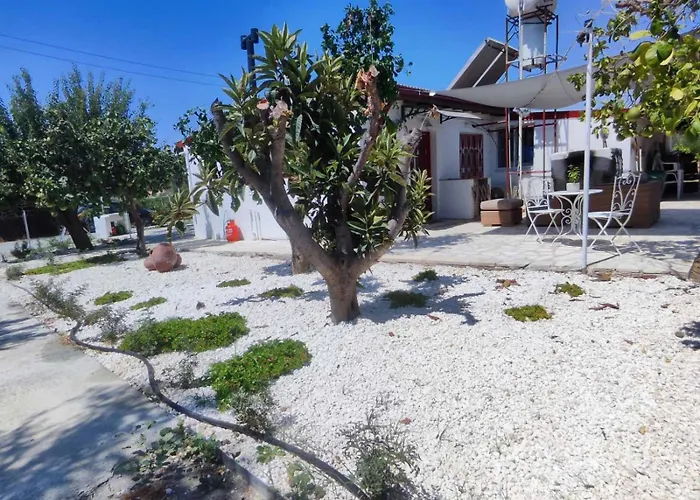 The Oliveorange Grove House! *